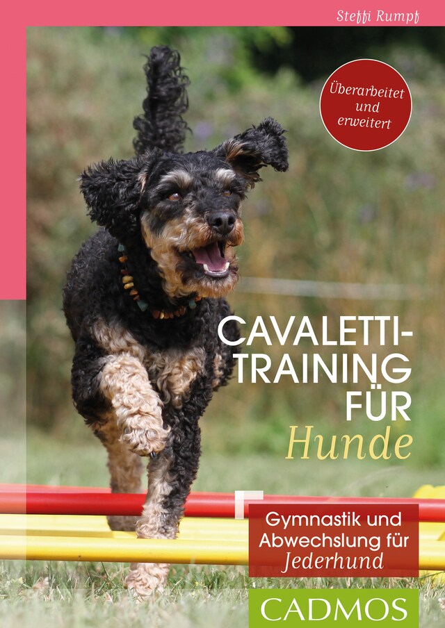 Copertina del libro per Cavalettitraining für Hunde