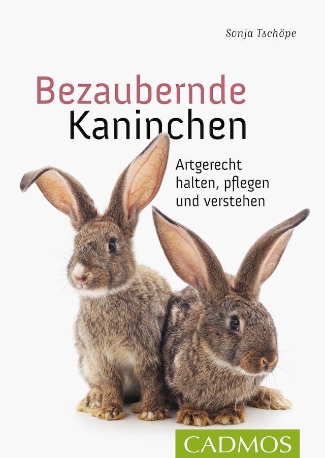 Copertina del libro per Bezaubernde Kaninchen