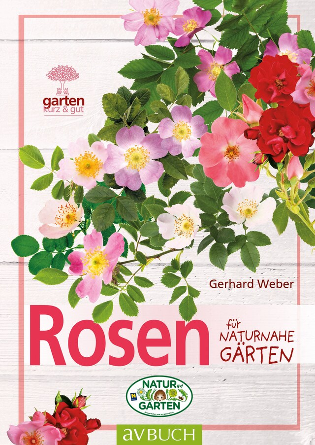 Couverture de livre pour Rosen