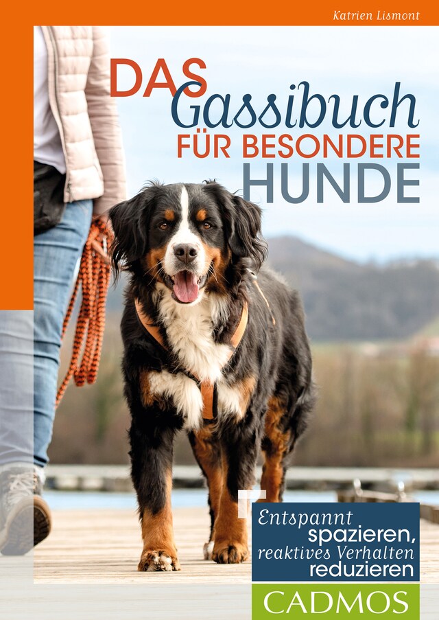 Bokomslag för Das Gassi-Buch für besondere Hunde