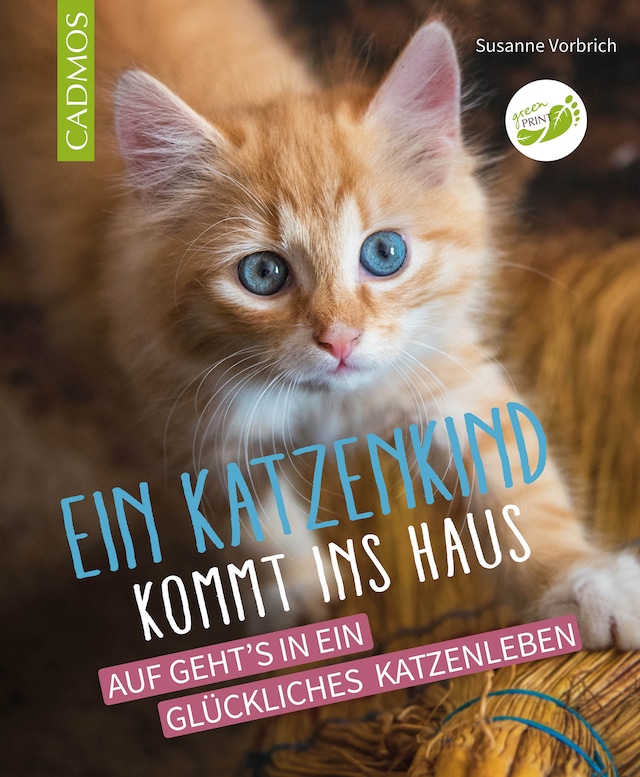 Book cover for Ein Katzenkind kommt ins Haus