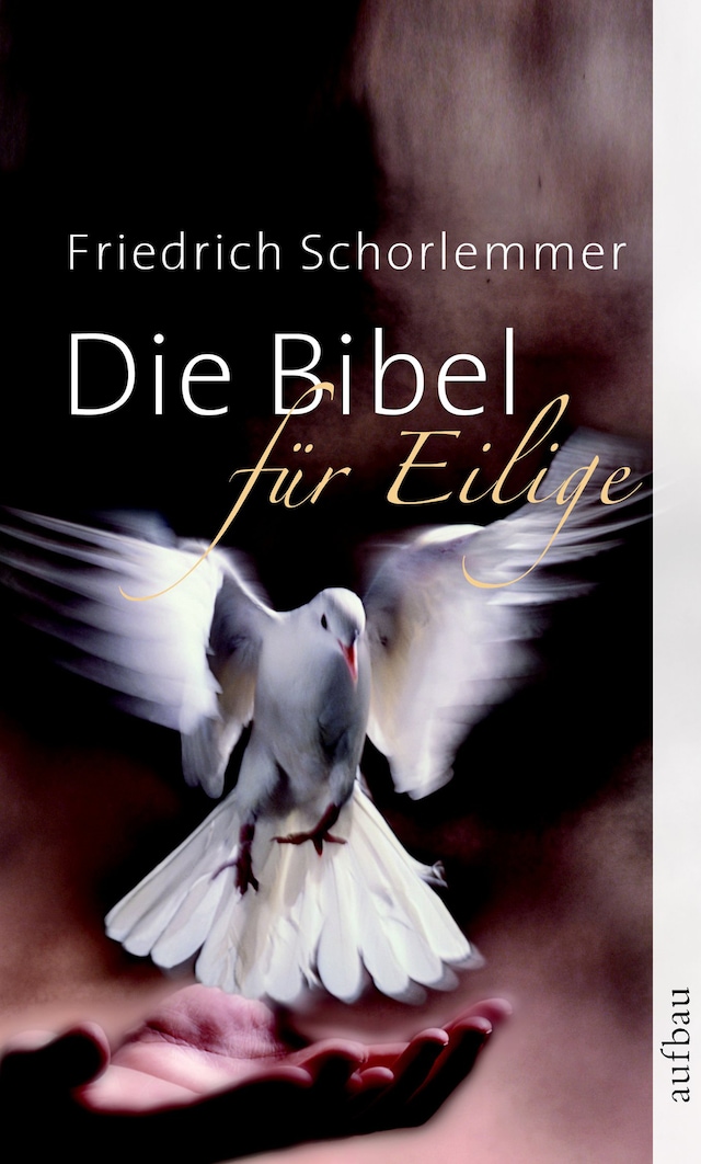 Book cover for Die Bibel für Eilige