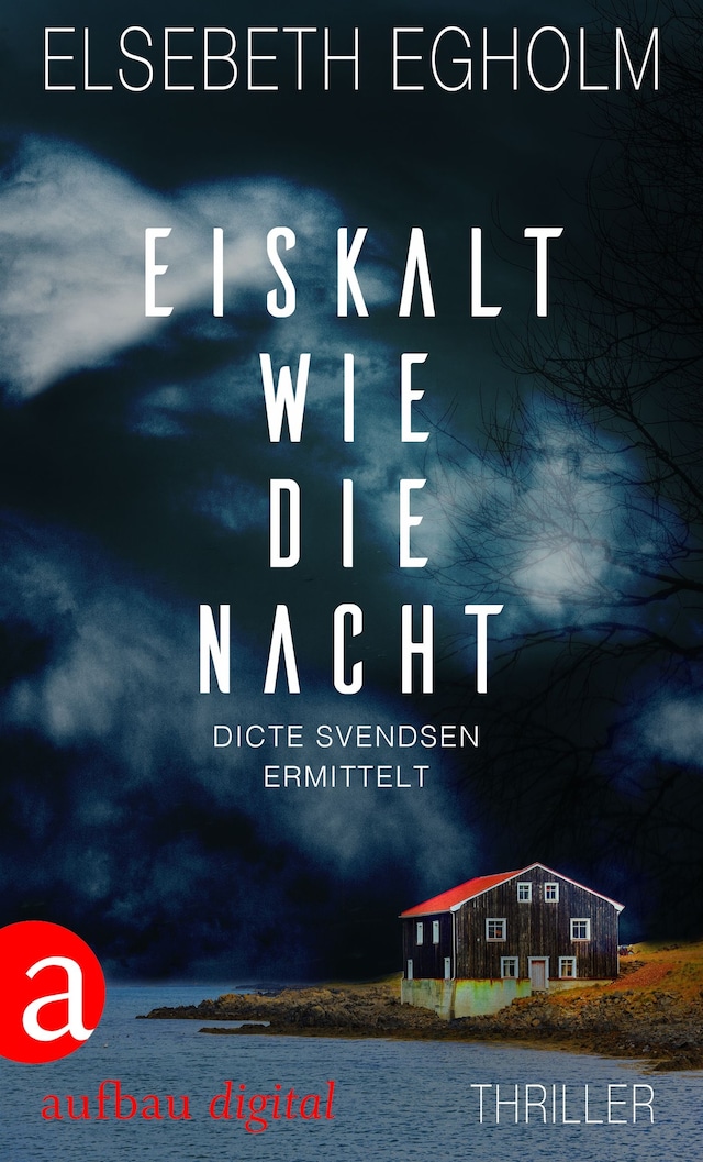 Book cover for Eiskalt wie die Nacht