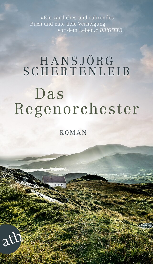 Okładka książki dla Das Regenorchester