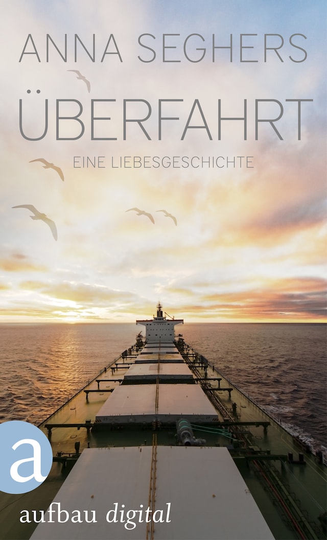 Book cover for Überfahrt