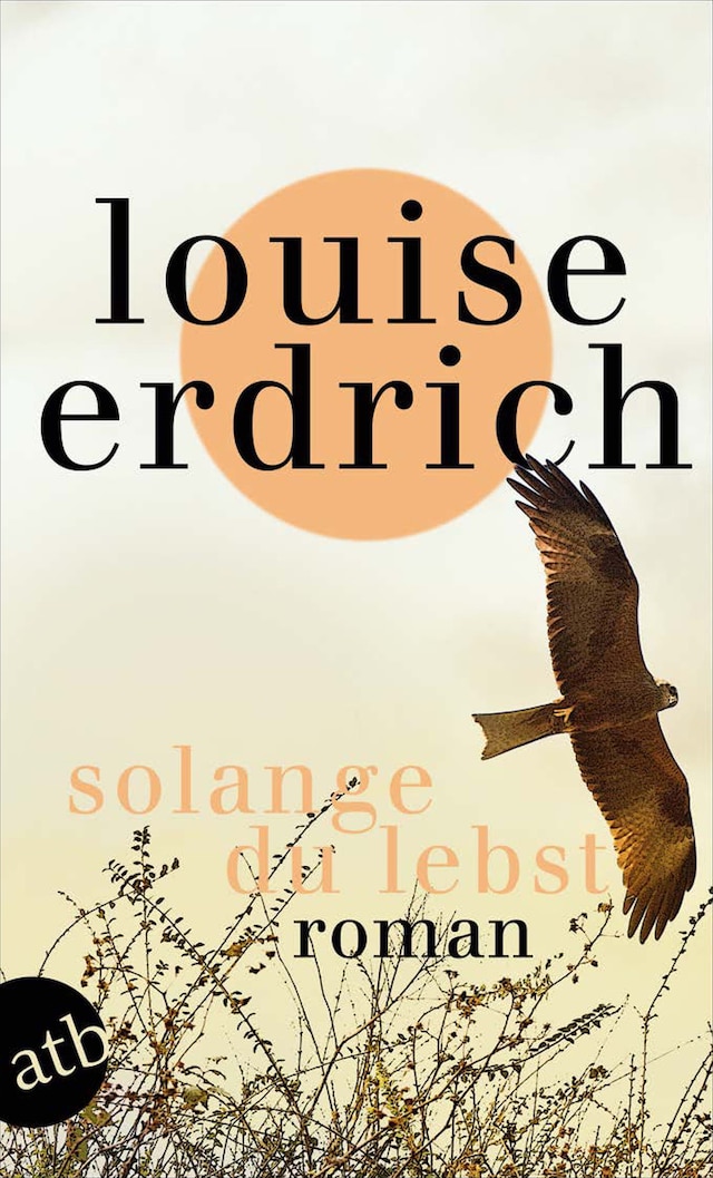 Book cover for Solange du lebst