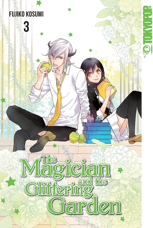 Book cover for The Magician and the Glittering Garden 03