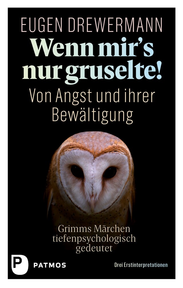 Copertina del libro per Wenn mir's nur gruselte!