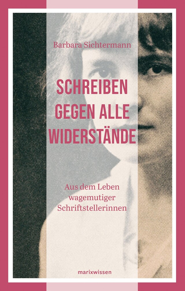 Book cover for Schreiben gegen alle Widerstände