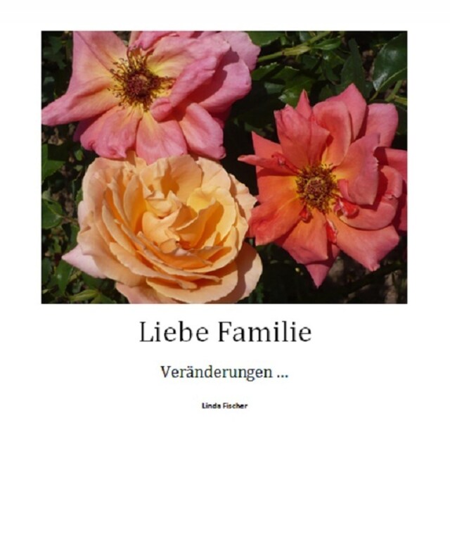 Book cover for Liebe Familie