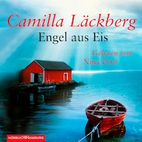 Engel aus Eis (Ein Falck-Hedström-Krimi 5)