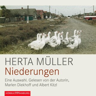 Niederungen als Hörbuch