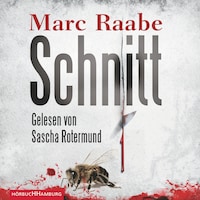 Schnitt