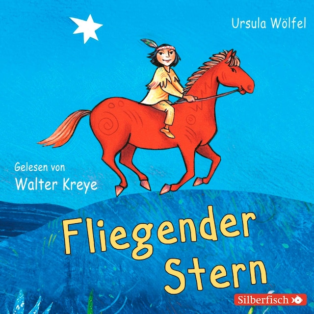 Portada de libro para Fliegender Stern