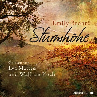 Sturmhöhe als Hörbuch