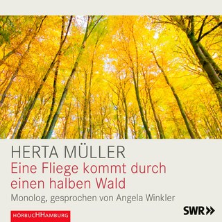 Eine Fliege kommt durch einen halben Wald als Hörbuch