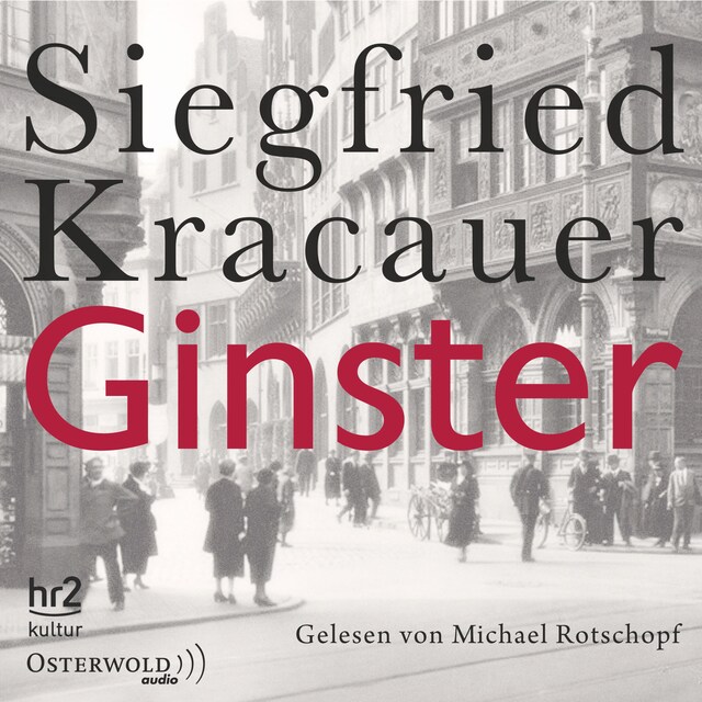 Book cover for Ginster