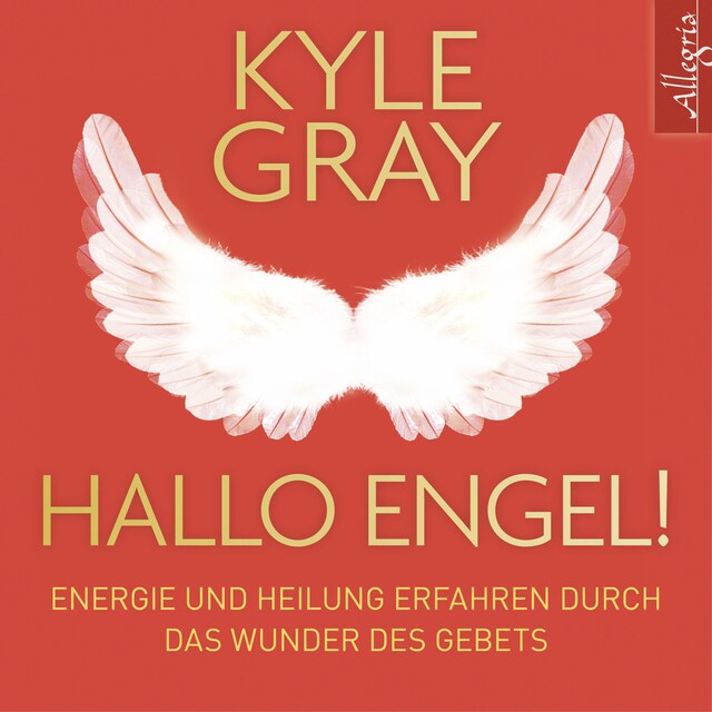Book cover for Hallo Engel!
