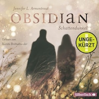 Obsidian 1: Obsidian