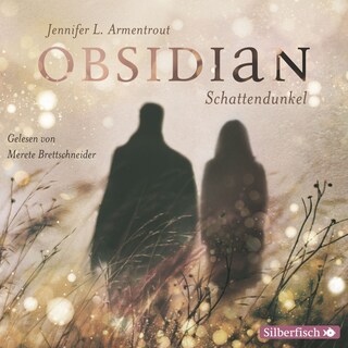 Obsidian bookCoverFor
