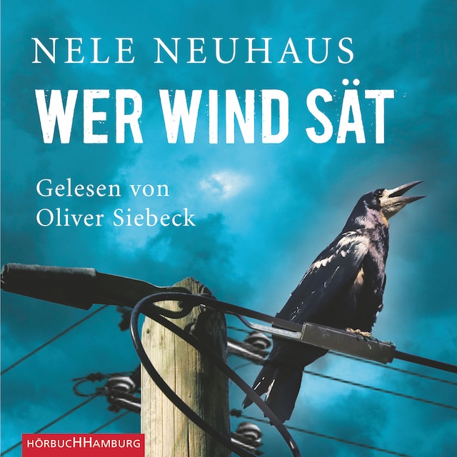 Boekomslag van Wer Wind sät  (Ein Bodenstein-Kirchhoff-Krimi 5)