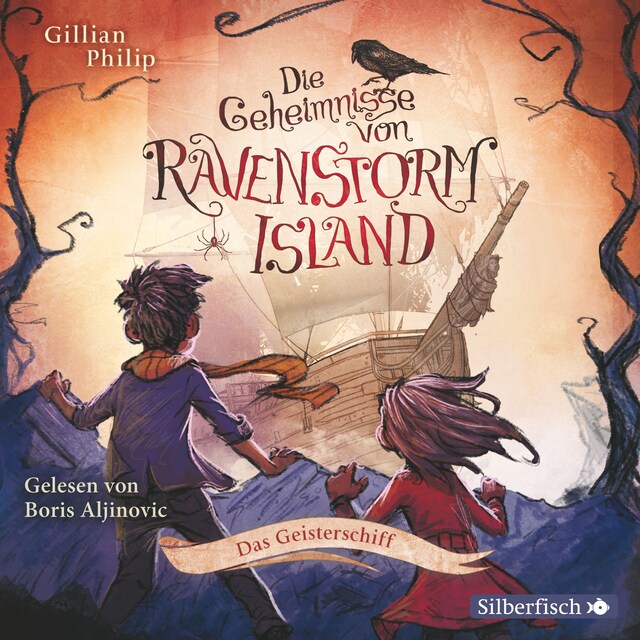 Copertina del libro per Die Geheimnisse von Ravenstorm Island  2: Das Geisterschiff