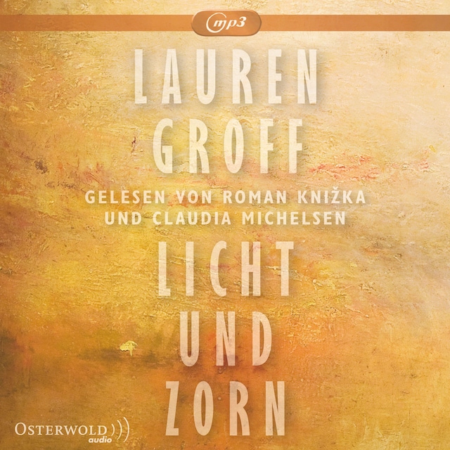 Book cover for Licht und Zorn
