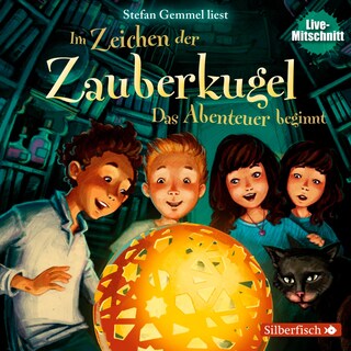 Im Zeichen der Zauberkugel 1: Das Abenteuer beginnt als Hörbuch