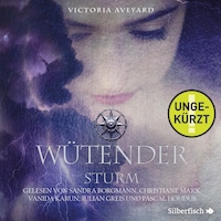 Wütender Sturm (ungekürzt)