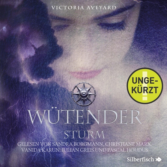 Book cover for Wütender Sturm (ungekürzt)