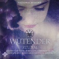 Wütender Sturm (ungekürzt)