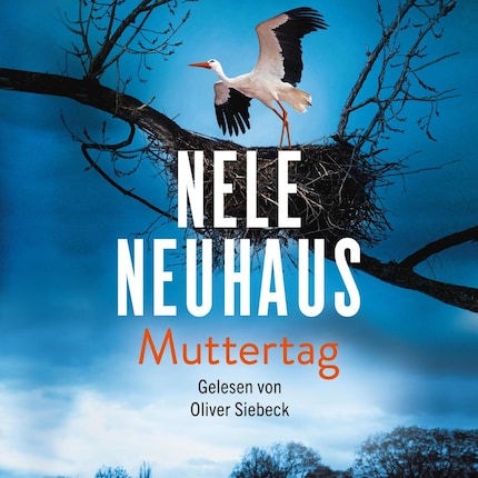 Muttertag (Ein Bodenstein-Kirchhoff-Krimi 9) bookCoverFor