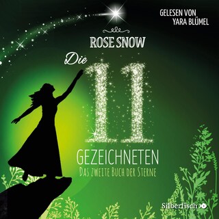 Die 11 Gezeichneten 2: Das zweite Buch der Sterne als Hörbuch