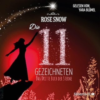 Die 11 Gezeichneten 3: Das dritte Buch der Sterne als Hörbuch