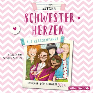 Schwesterherzen 2: Auf Klassenfahrt als Hörbuch