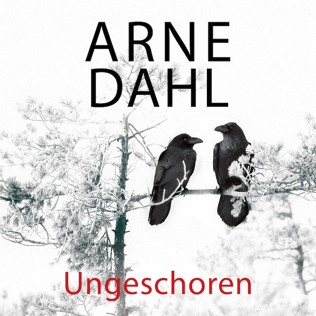 Book cover for Ungeschoren (A-Team 6)