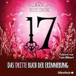 17 3: Das dritte Buch der Erinnerung