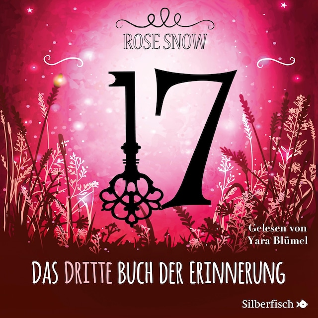 Book cover for 17 3: Das dritte Buch der Erinnerung