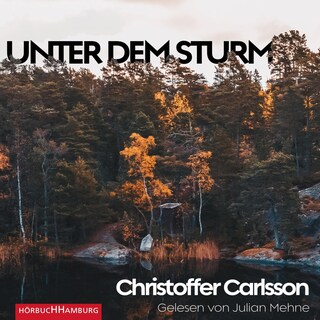 Unter dem Sturm als Hörbuch