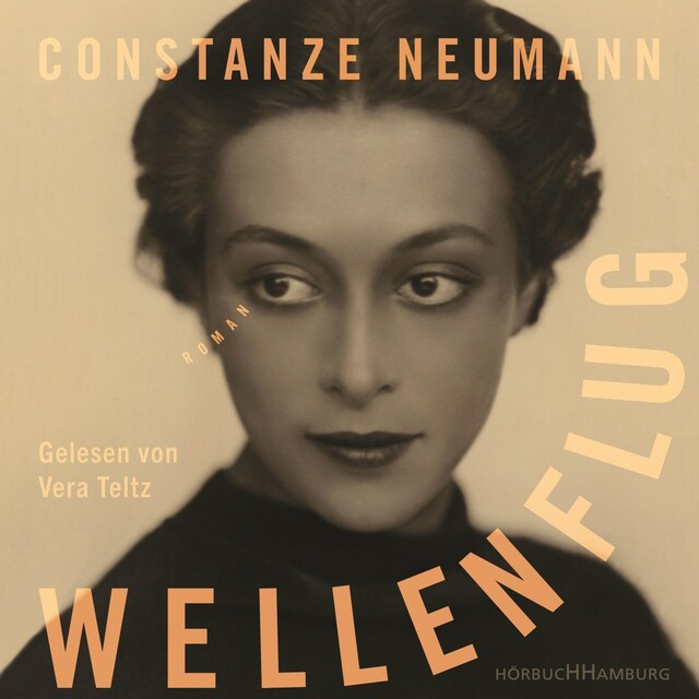 Book cover for Wellenflug