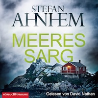 Meeressarg (Ein Fabian-Risk-Krimi 6)