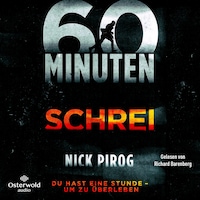 60 Minuten – Schrei (Die Henry-Bins-Serie 1)