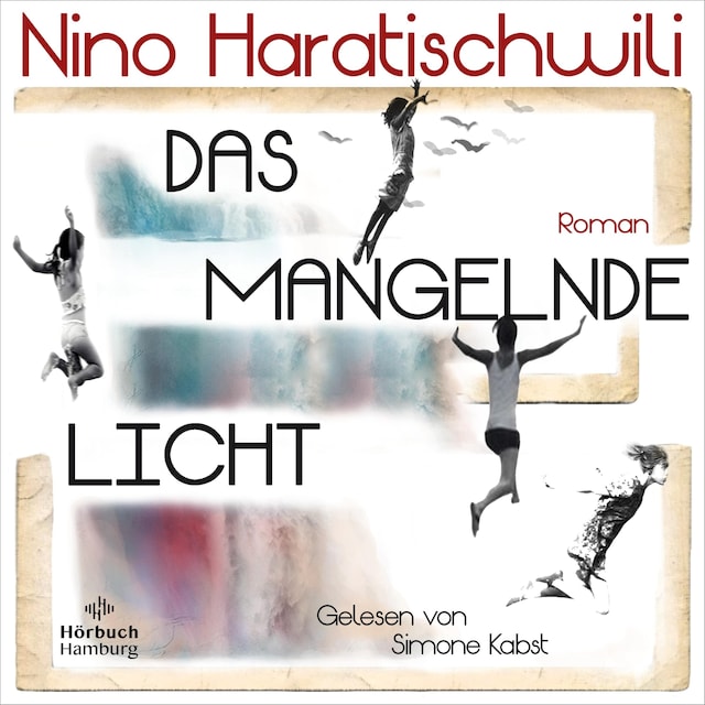 Book cover for Das mangelnde Licht