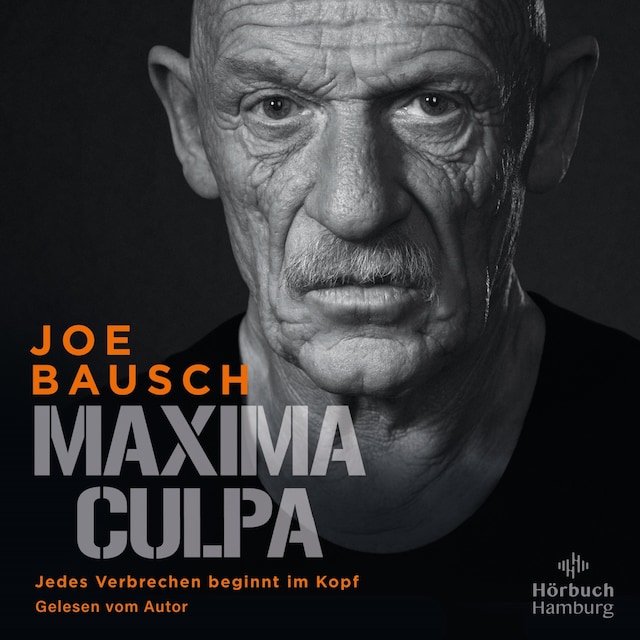 Buchcover für Maxima Culpa