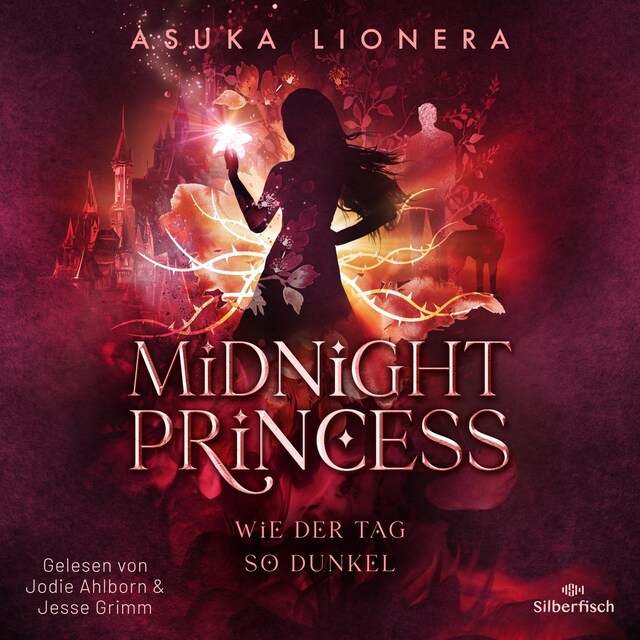 Book cover for Midnight Princess 2: Wie der Tag so dunkel