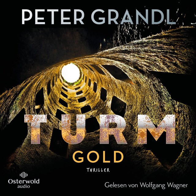 Couverture de livre pour Turmgold (Die Turm-Reihe 2)