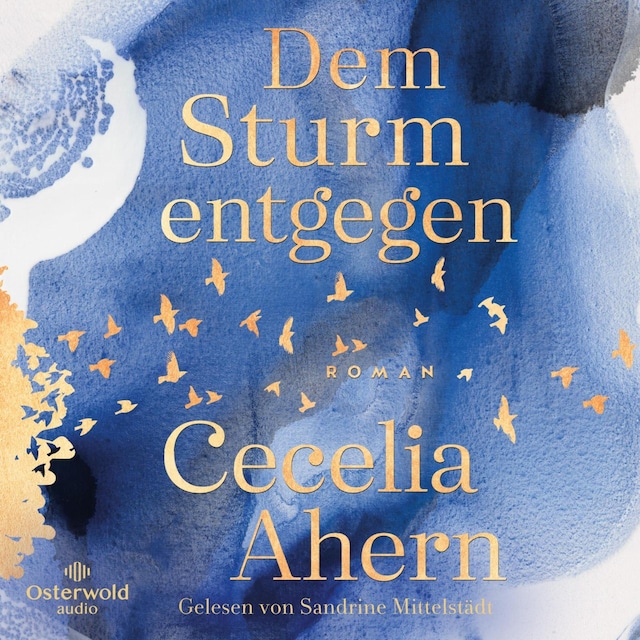 Book cover for Dem Sturm entgegen