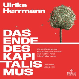 Das Ende des Kapitalismus als Hörbuch