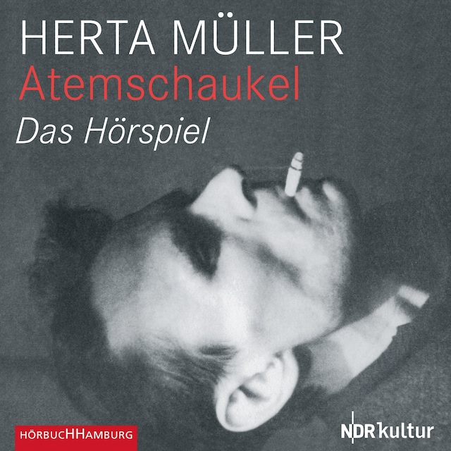 Book cover for Atemschaukel