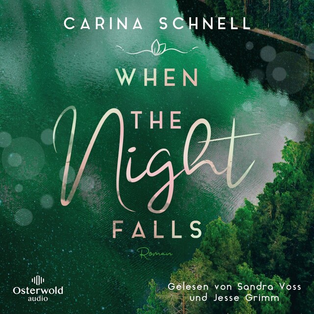 Couverture de livre pour When the Night Falls (Sommer in Kanada 2)